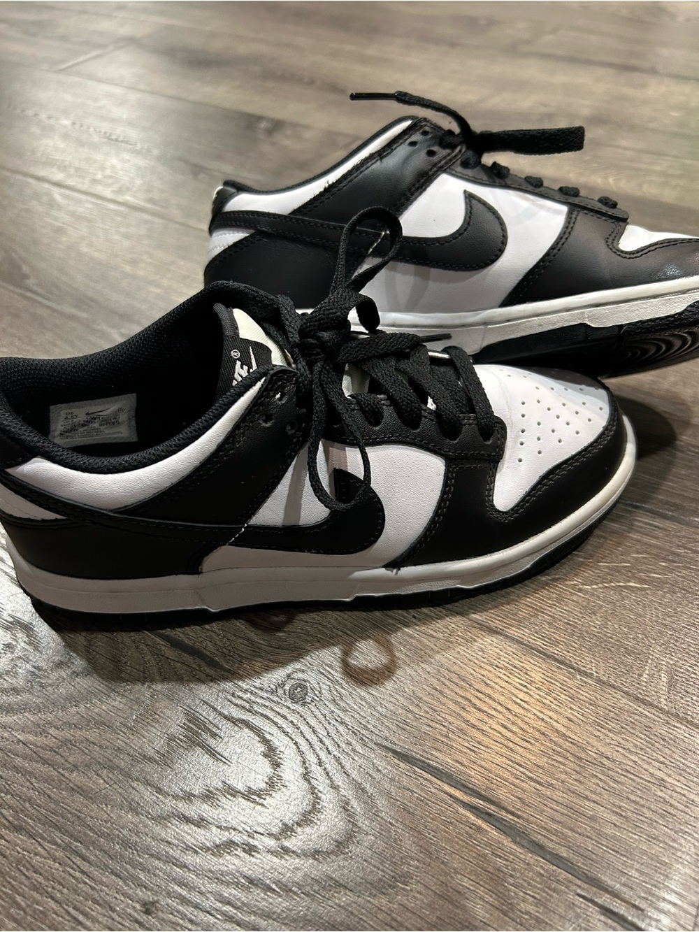 Nike Youth Dunks